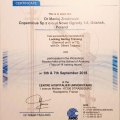 Powiększ obraz: certificate 5