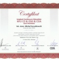 Powiększ obraz: certificate 6