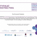 Powiększ obraz: certificate 1