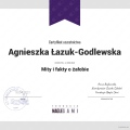 Powiększ obraz: certificate 2