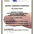 Powiększ obraz: certificate 2