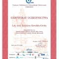 Powiększ obraz: certificate 5