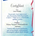 Powiększ obraz: certificate 5
