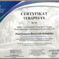 Powiększ obraz: certificate 1