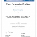 Powiększ obraz: certificate 13