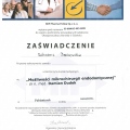Powiększ obraz: certificate 12