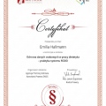 Powiększ obraz: certificate 13