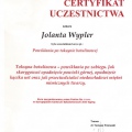 Powiększ obraz: certificate 20