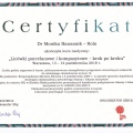 Powiększ obraz: certificate 3
