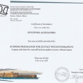 Powiększ obraz: certificate 20