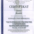 Powiększ obraz: certificate 32