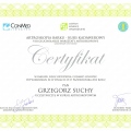 Powiększ obraz: certificate 5