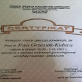 Powiększ obraz: certificate 6