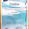 Powiększ obraz: certificate 4