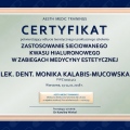 Powiększ obraz: certificate 11