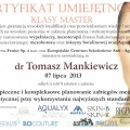 Powiększ obraz: certificate 2