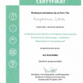 Powiększ obraz: certificate 6