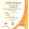 Powiększ obraz: certificate 5
