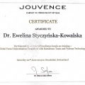 Powiększ obraz: certificate 2