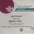Powiększ obraz: certificate 6