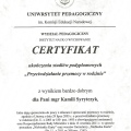 Powiększ obraz: certificate 1