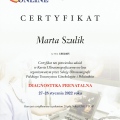 Powiększ obraz: certificate 1