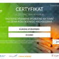 Powiększ obraz: certificate 9