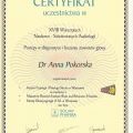 Powiększ obraz: certificate 2