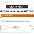 Powiększ obraz: certificate 1