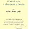 Powiększ obraz: certificate 4