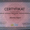 Powiększ obraz: certificate 32