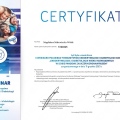 Powiększ obraz: certificate 3