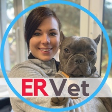 Powiększ obraz: Julia Kolasa, weterynarz Wrocław