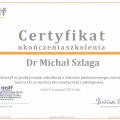 Powiększ obraz: certificate 4
