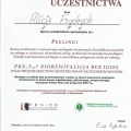 Powiększ obraz: certificate 31