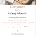 Powiększ obraz: certificate 29