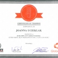 Powiększ obraz: certificate 4