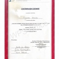Powiększ obraz: certificate 9