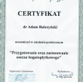 Powiększ obraz: certificate 29