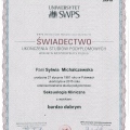 Powiększ obraz: certificate 8