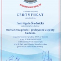 Powiększ obraz: certificate 7