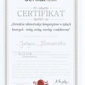 Powiększ obraz: certificate 1