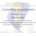 Powiększ obraz: certificate 7