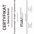Powiększ obraz: certificate 4