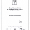 Powiększ obraz: certificate 2