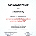 Powiększ obraz: certificate 13