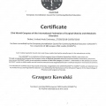 Powiększ obraz: certificate 6