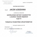 Powiększ obraz: certificate 24