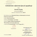 Powiększ obraz: certificate 7