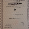 Powiększ obraz: certificate 4
